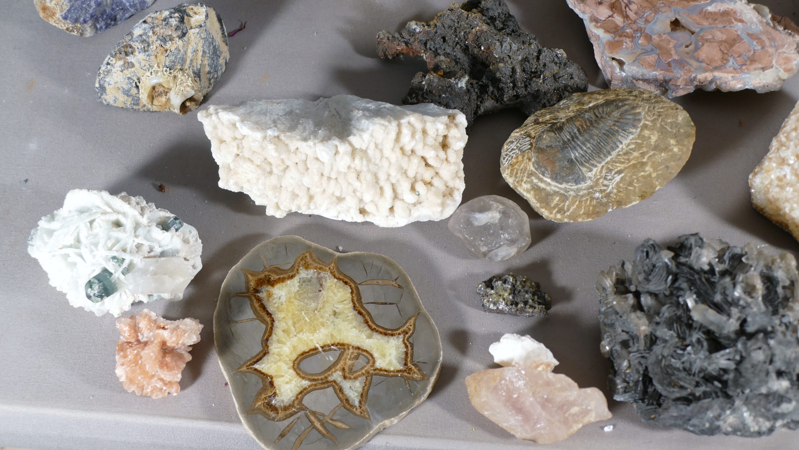 Minéraux, roches et fossiles de collection, géodes et pierres d'ornement