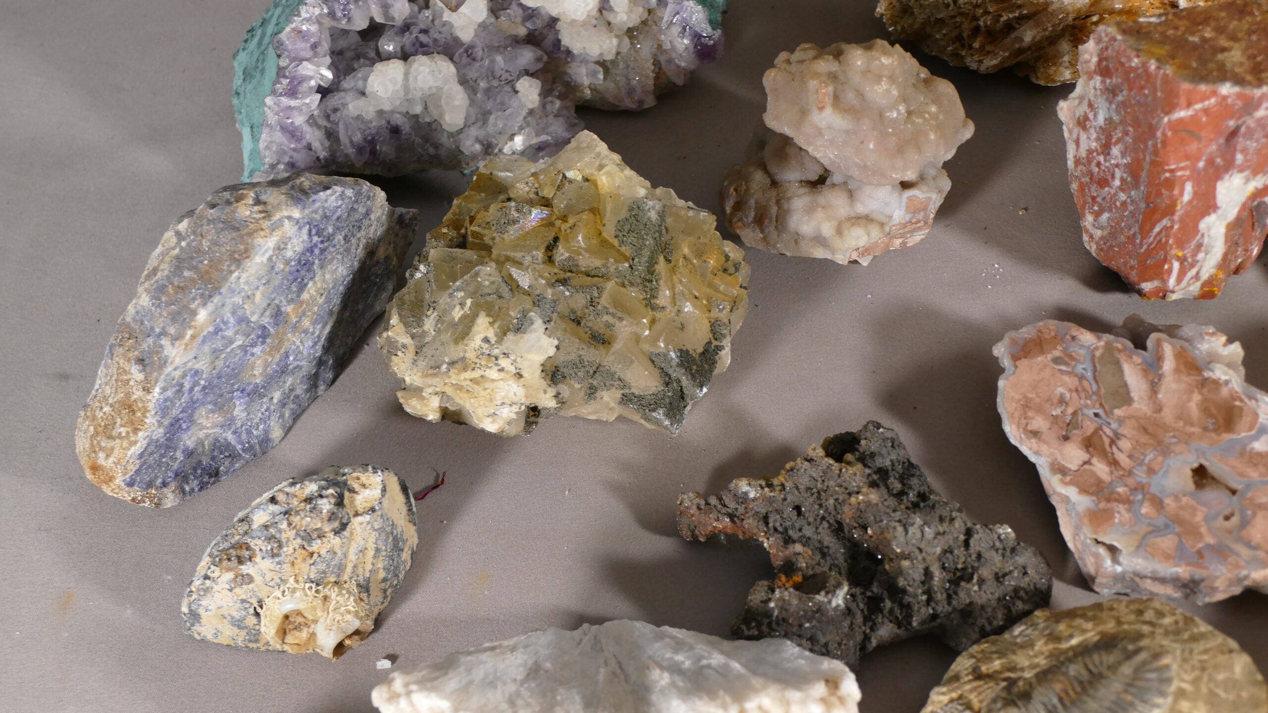 Collection De 30 Minéraux, Fossiles, Roches, Géodes… Pour Cabinet De  Curiosité – Le Grenier d'Augustine – Antiquaire à Limoges