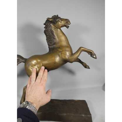Cheval Cabré En Bronze, Sculpture Des Années 60 – Image 3