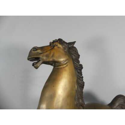 Cheval Cabré En Bronze, Sculpture Des Années 60 – Image 6
