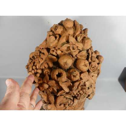Ornement En Terre Cuite Corbeille De Fruits Et Fleurs Décoration De Jardin, époque Début XX ème – Image 9