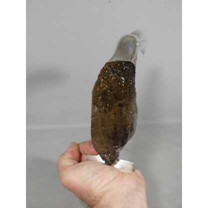 Toucan en argent massif et quartz fumé, Brésil Design 1960 Grupo Gal – Image 6