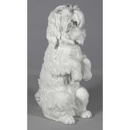 Chien Bichon frisé, statuette en porcelaine allemande Gebrüder Heubach marque bleue 1882-1915