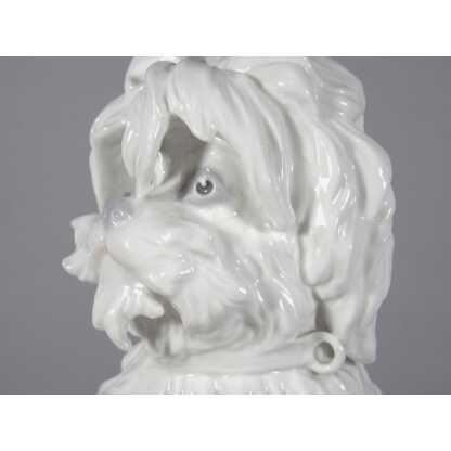 Chien Bichon frisé, statuette en porcelaine allemande Gebrüder Heubach marque bleue 1882-1915 – Image 9