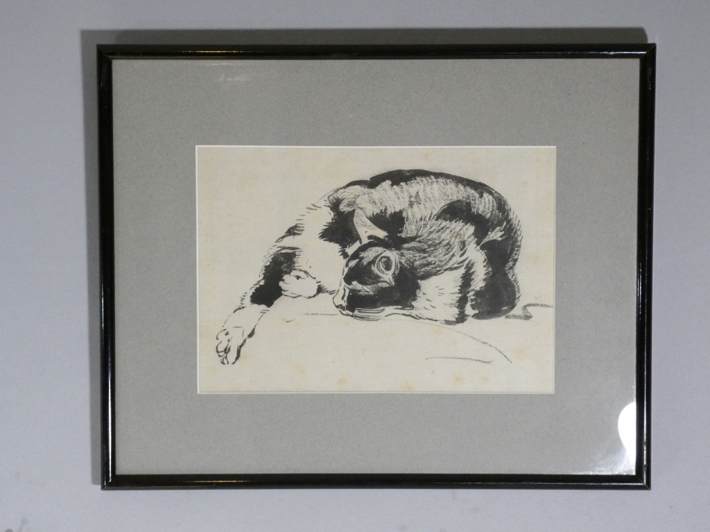 Charles Bichet, le chat, dessin à l'encre de Chine, école de Crozant