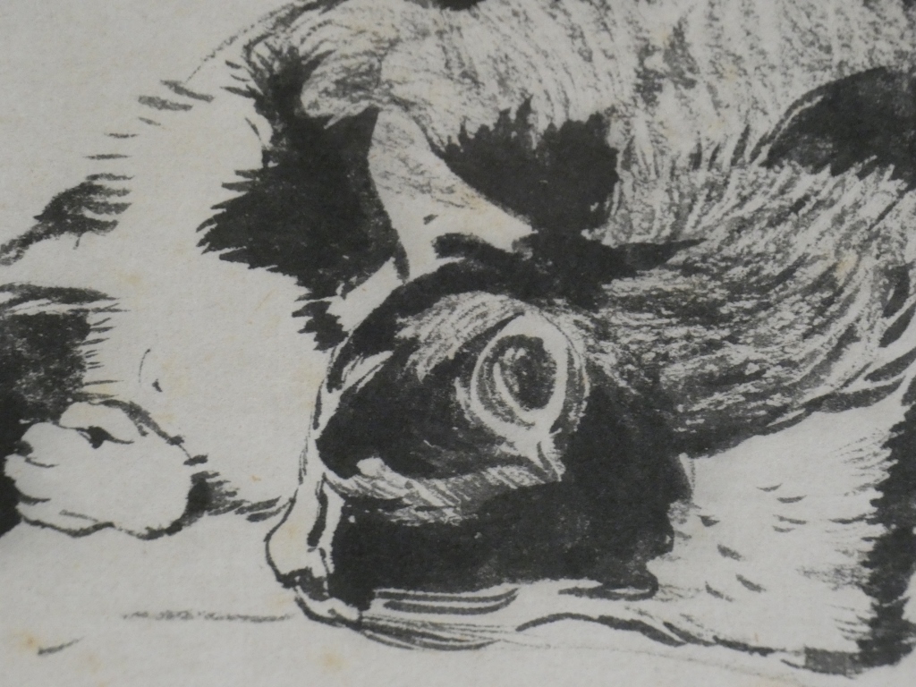 Charles Bichet, le chat, dessin à l'encre de Chine, école de Crozant – Image 5